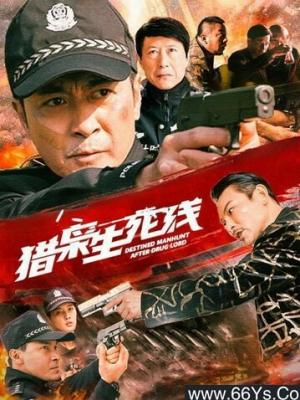 时光荏苒